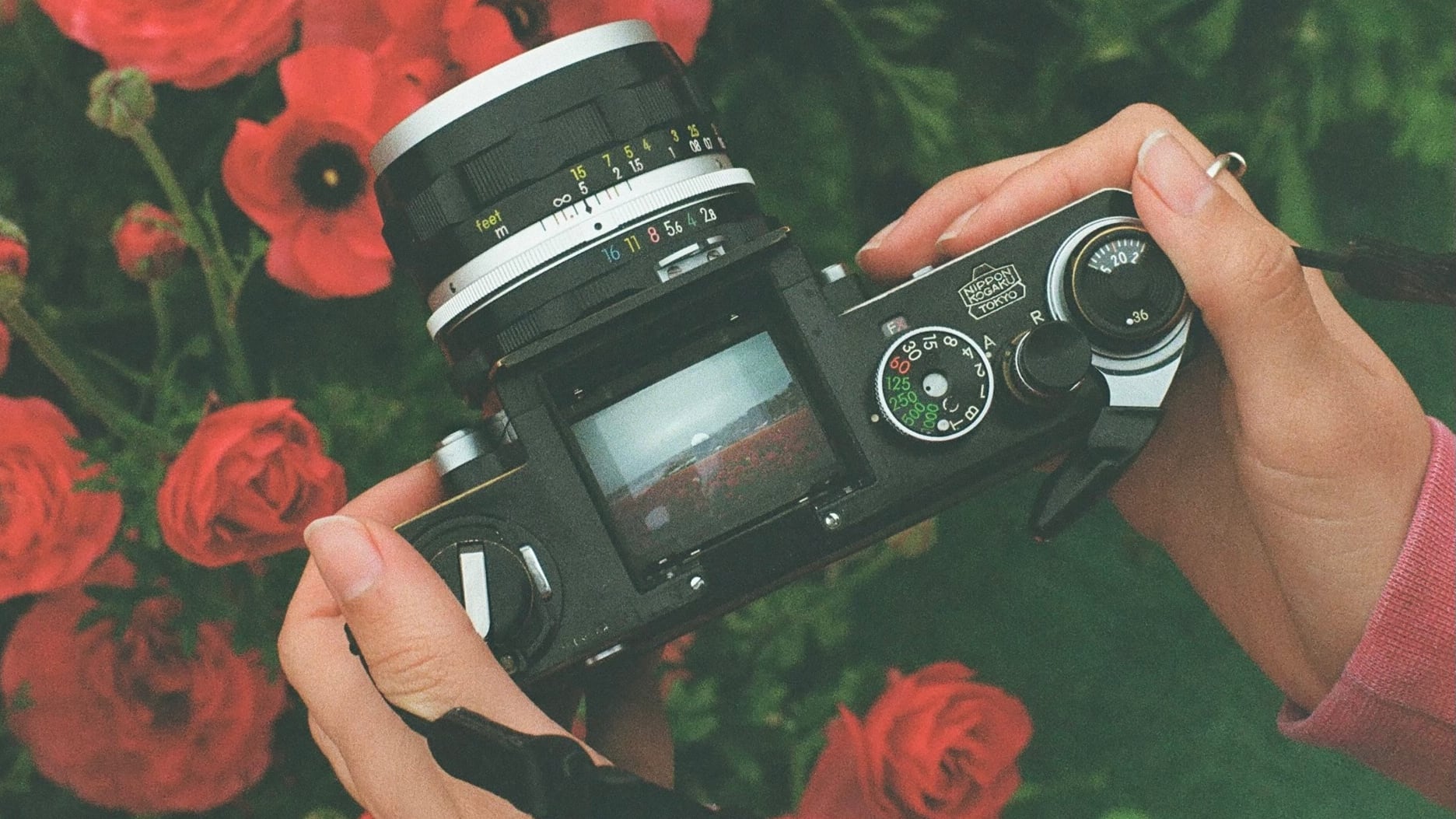 film developing, metal prints, professional photo printing Legacy