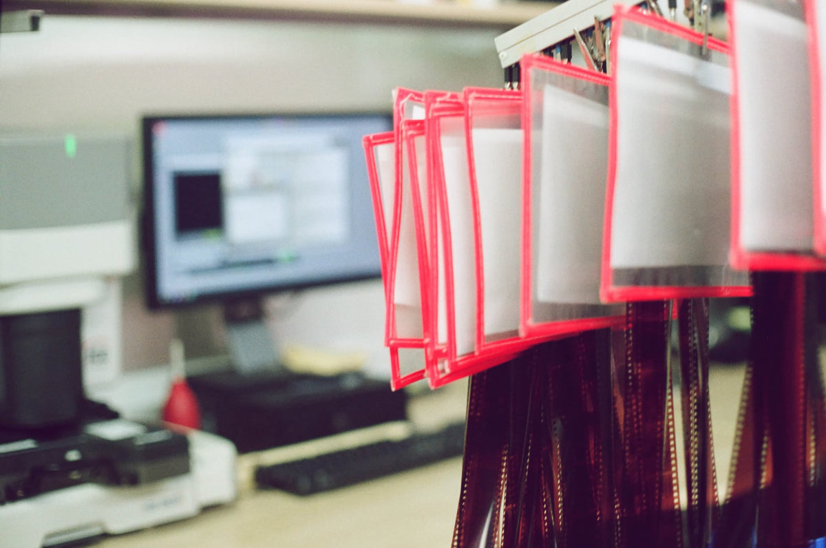 Film Development Lab Film Developing & Scanning, Same-Day | Legacy Film Lab